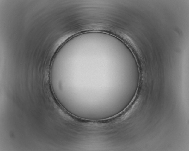 X0000115801081200911131017