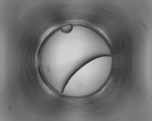 X0000115801082200911131017