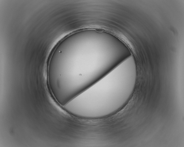 X0000115801084200911131017