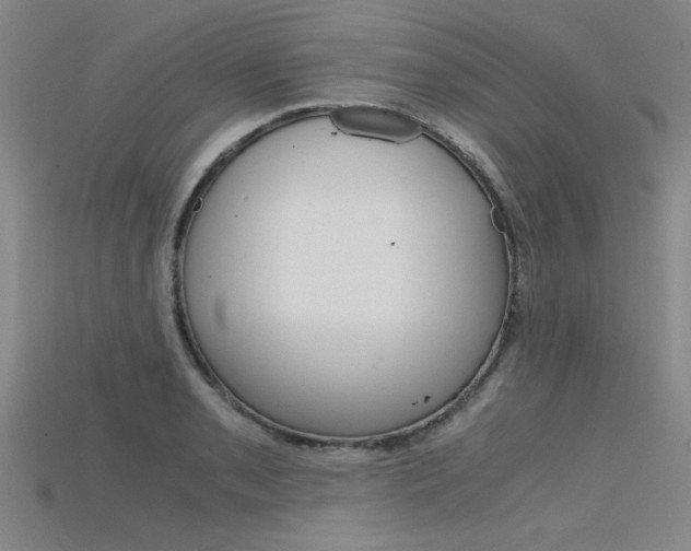 X0000115801085200911131017