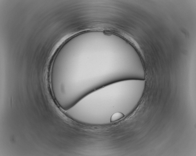 X0000115801091200911131017