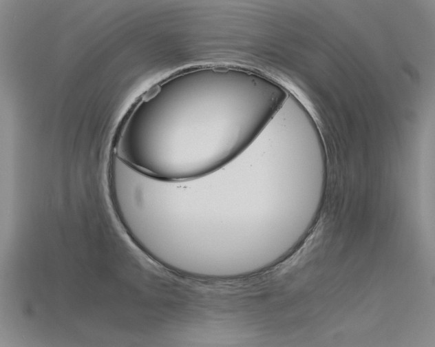 X0000115801093200911131017