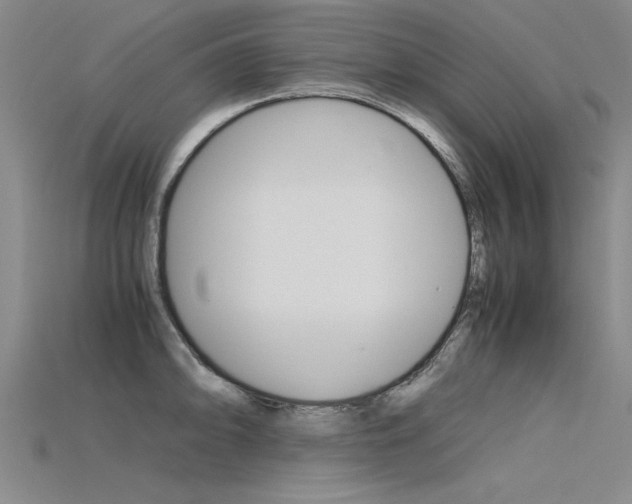 X0000115801094200911131017