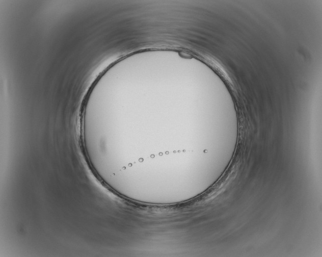 X0000115801095200911131017