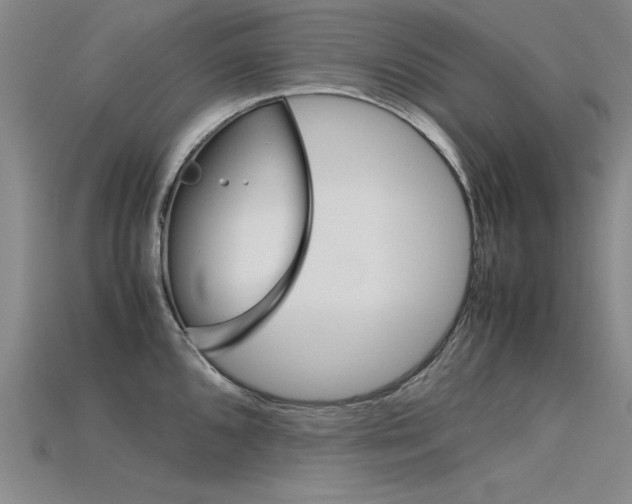 X0000115801096200911131017