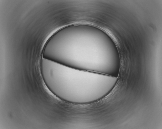 X0000115801100200911131017
