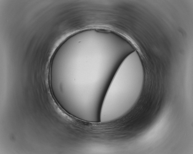 X0000115801102200911131017