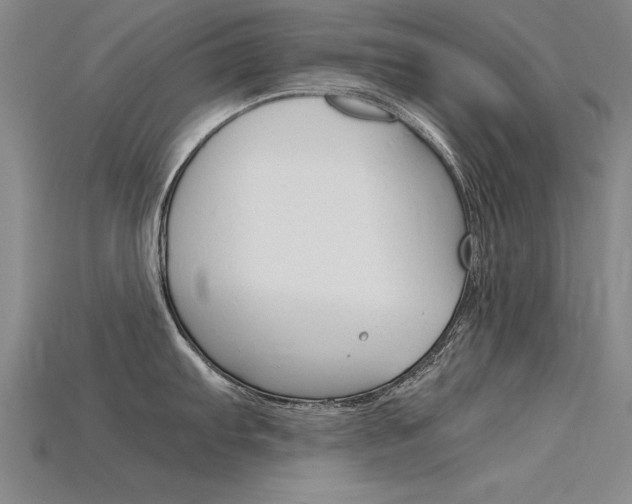 X0000115801103200911131017