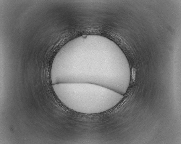 X0000115801107200911131016