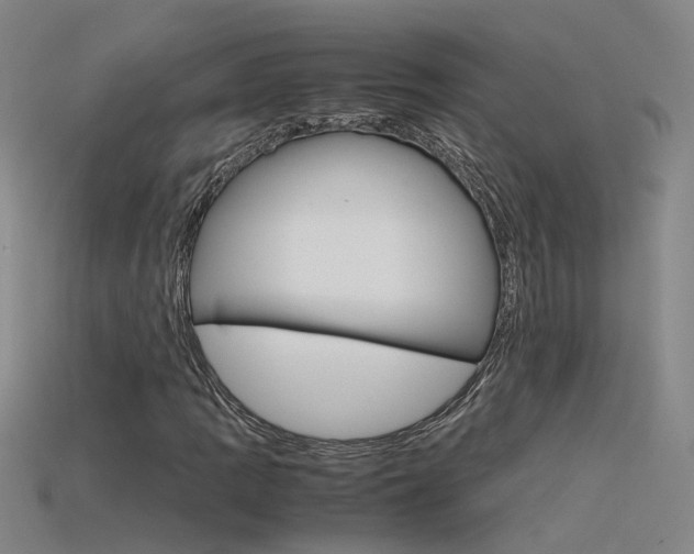 X0000115801109200911131016