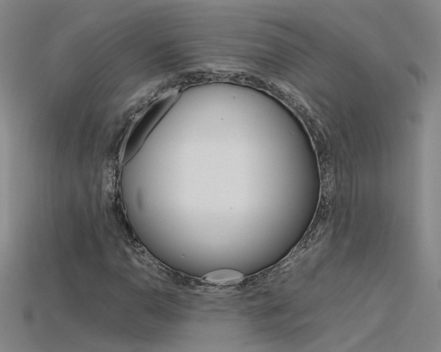 X0000115801110200911131016