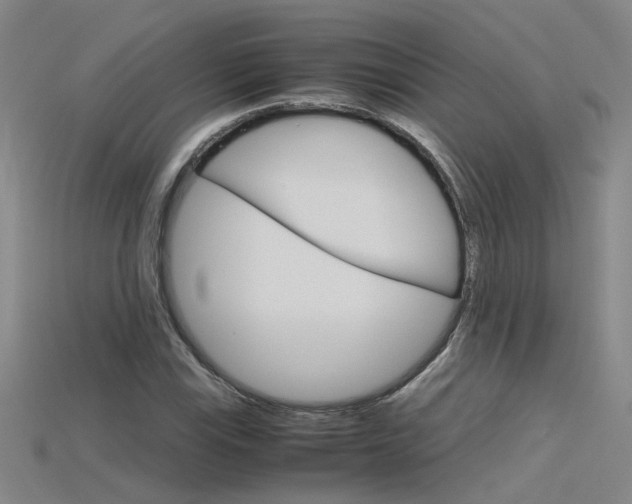 X0000115801115200911131017