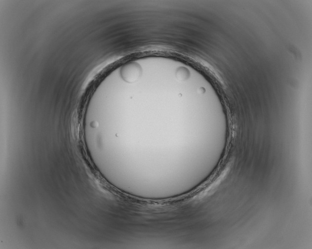 X0000115801117200911131017