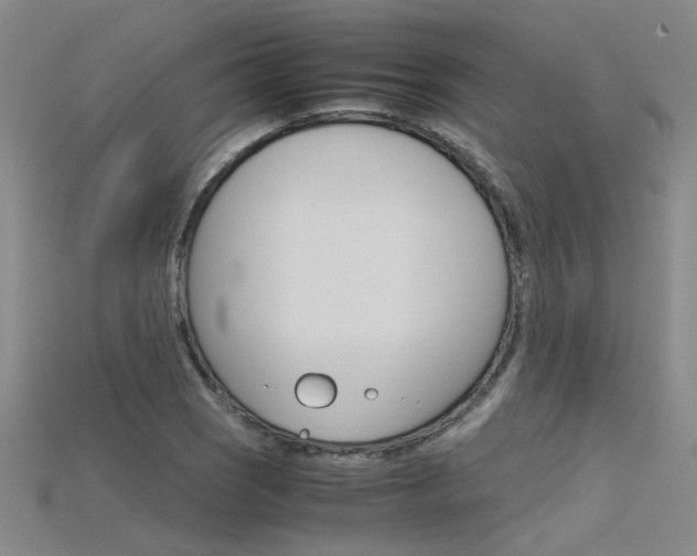 X0000115801121200911131017