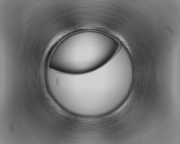 X0000115801122200911131017