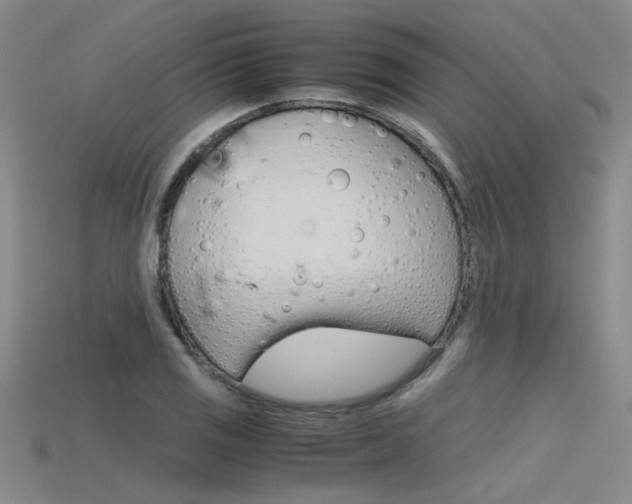 X0000115801125200911131017