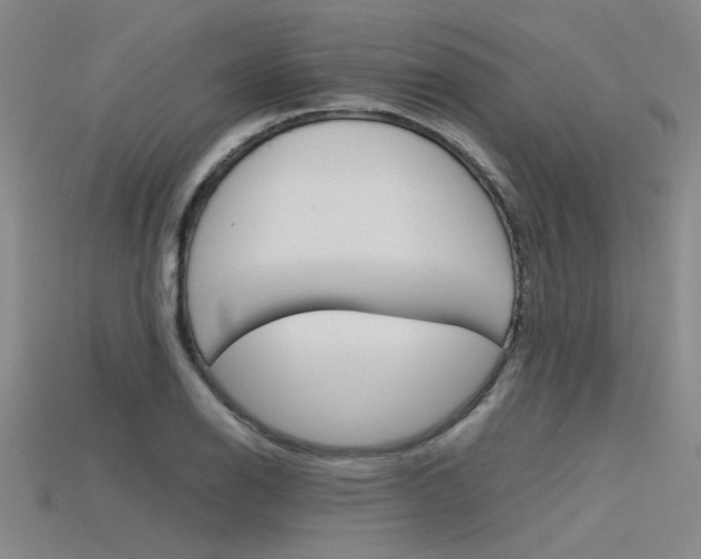 X0000115801126200911131017