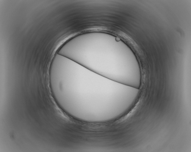 X0000115801129200911131017