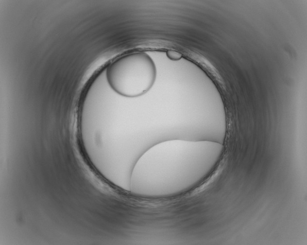 X0000115801130200911131017