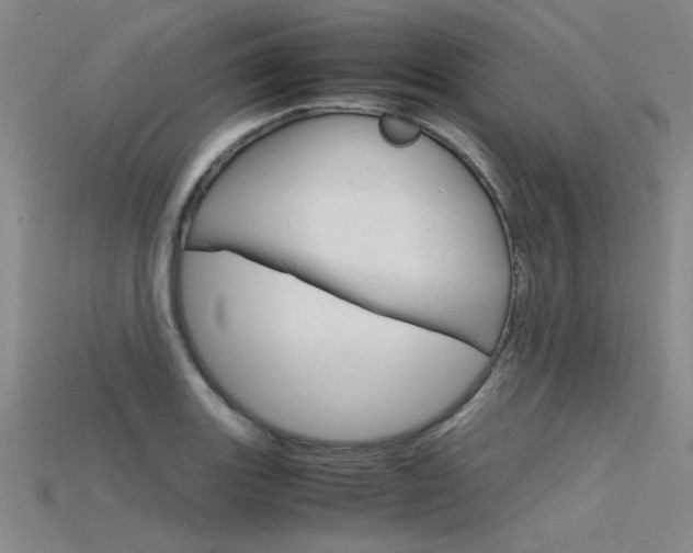 X0000115801131200911131017