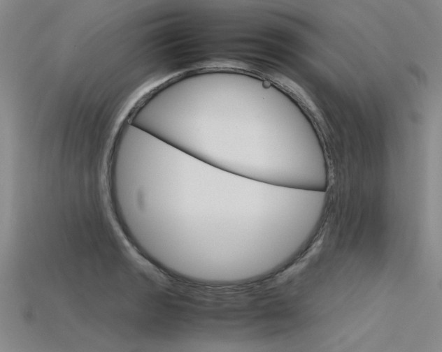 X0000115801133200911131017