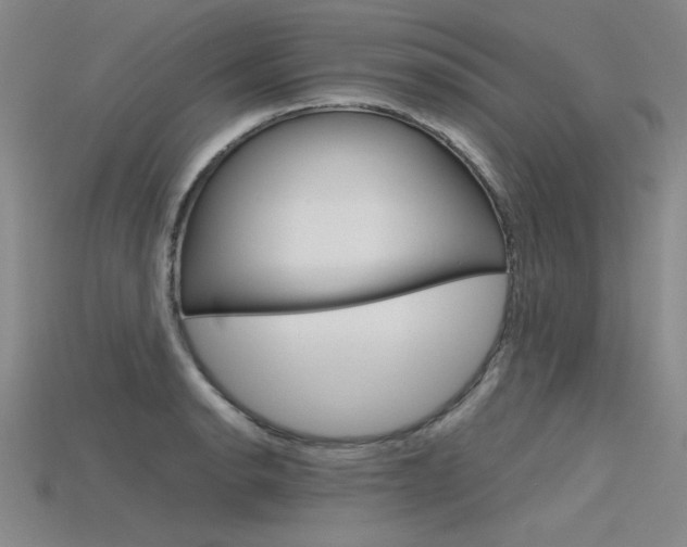 X0000115801134200911131017