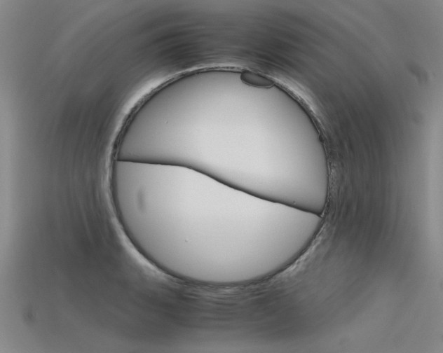 X0000115801135200911131017
