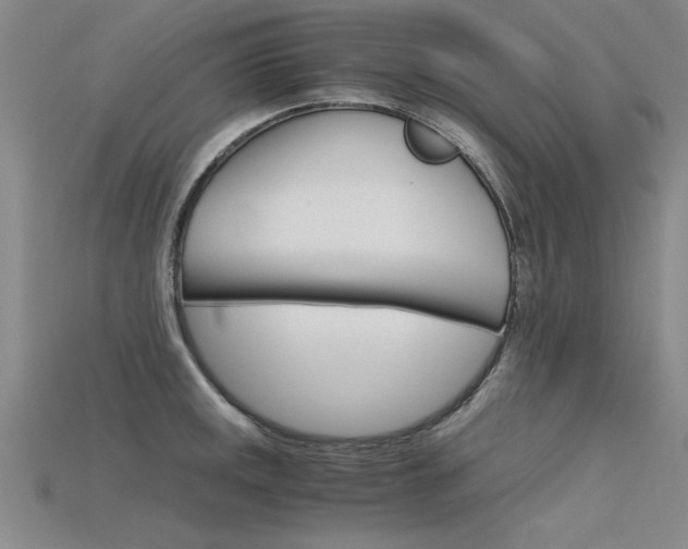 X0000115801141200911131017