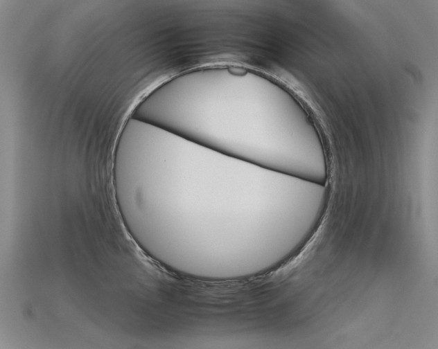 X0000115801145200911131017