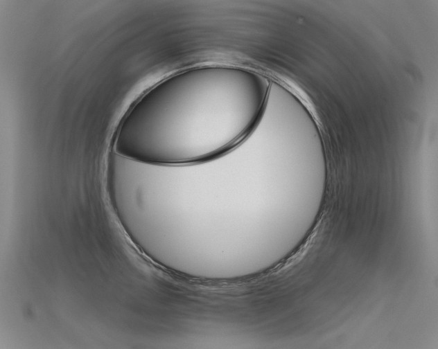 X0000115801146200911131017