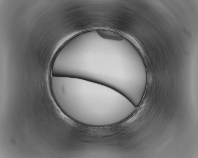 X0000115801149200911131017