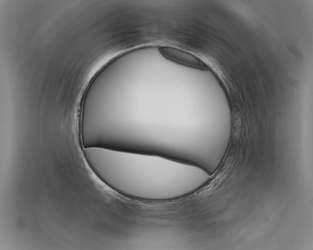 X0000115801151200911131017