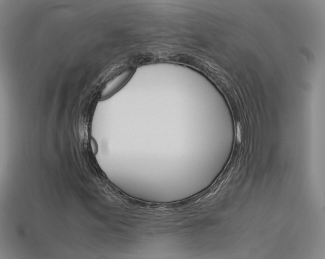 X0000115801155200911131016