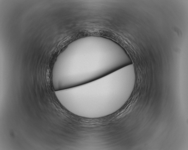 X0000115801156200911131016
