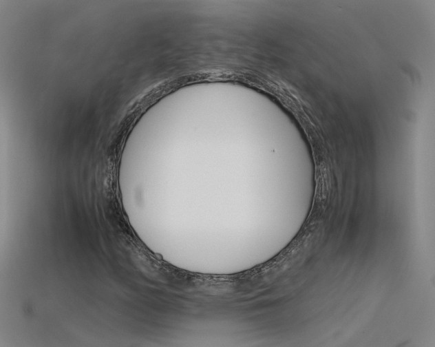 X0000115801158200911131016