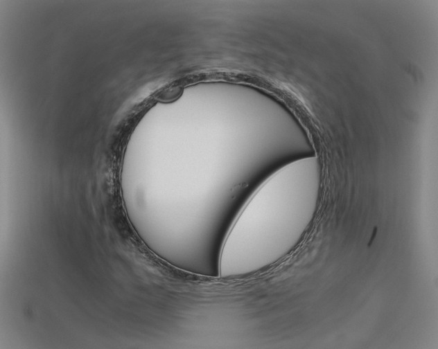 X0000115801159200911131016