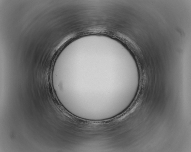 X0000115801162200911131016