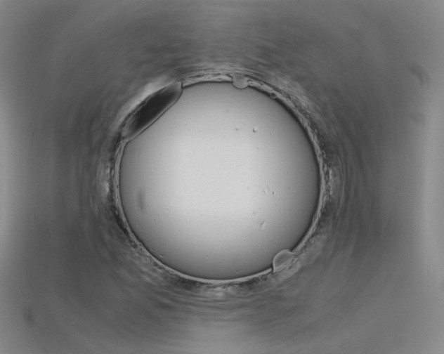 X0000115801165200911131016