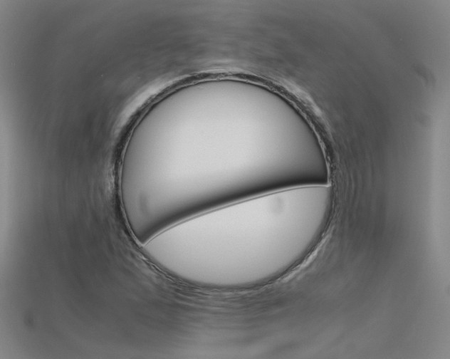 X0000115801167200911131016