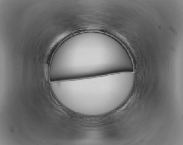 X0000115801171200911131016