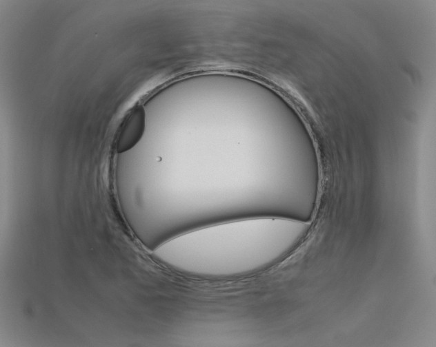 X0000115801173200911131016