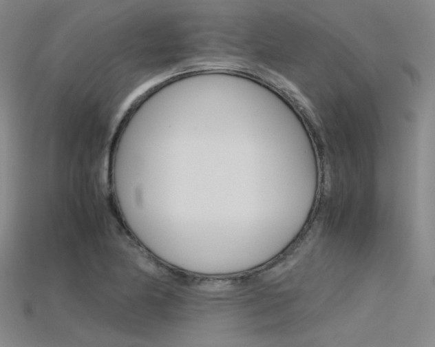 X0000115801174200911131016