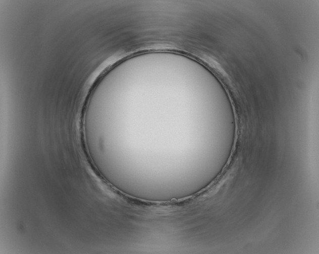 X0000115801181200911131016