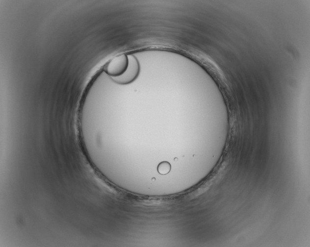 X0000115801182200911131016