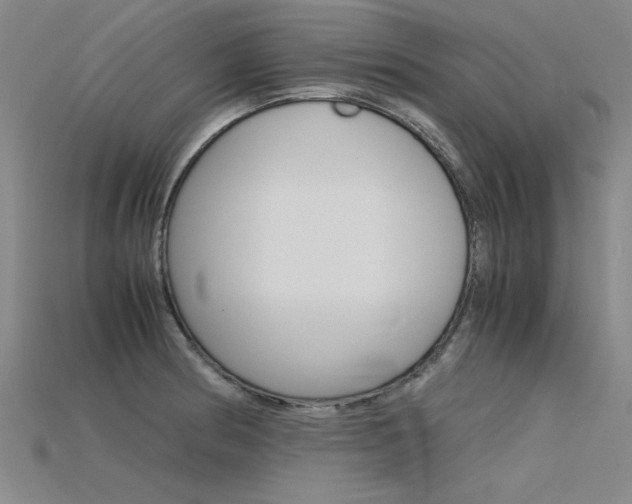 X0000115801186200911131016