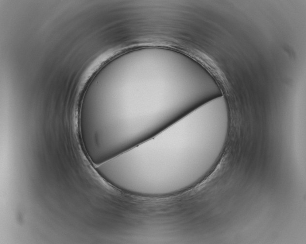 X0000115801188200911131016