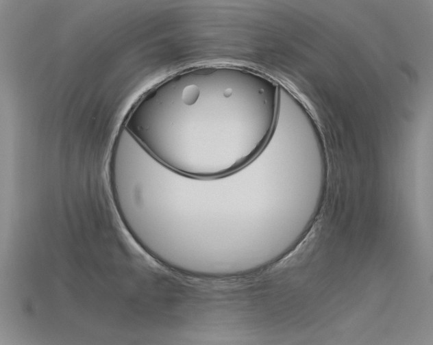 X0000115801189200911131016