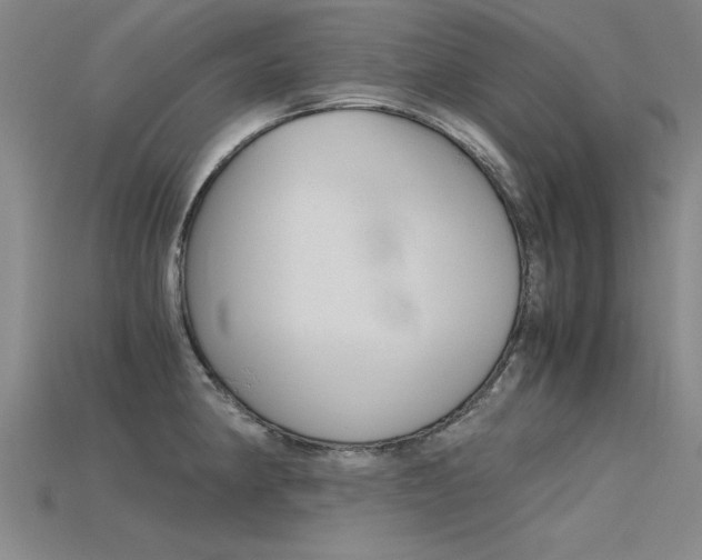 X0000115801190200911131016