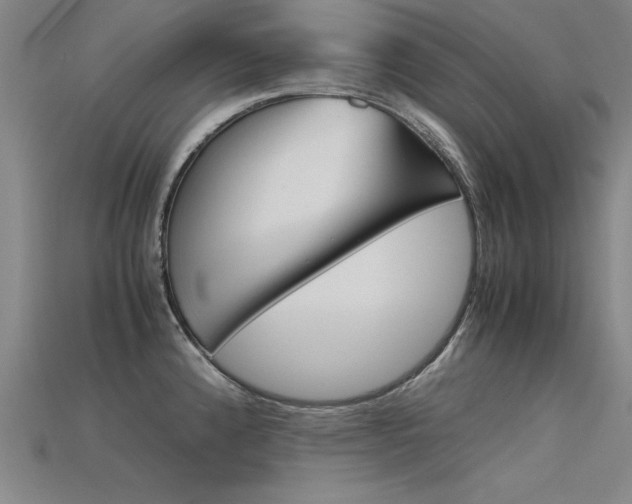 X0000115801192200911131016
