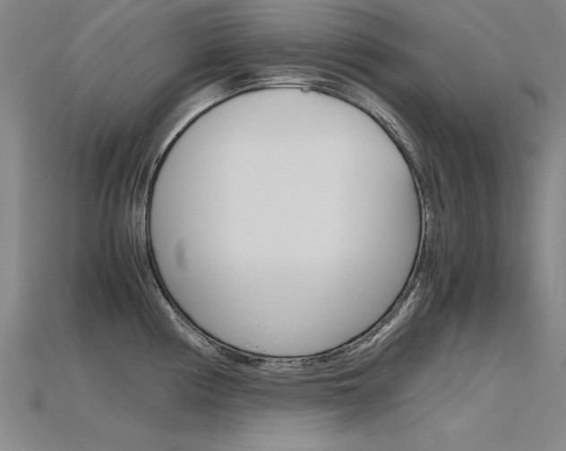 X0000115801194200911131016